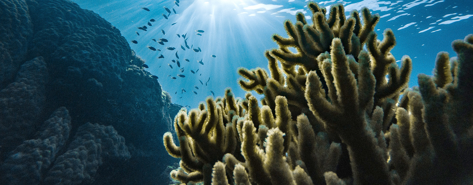 三達(dá)膜中水回用、陶瓷膜、石墨烯膜、黑金膜公眾號(hào)，歡迎您掃碼關(guān)注！